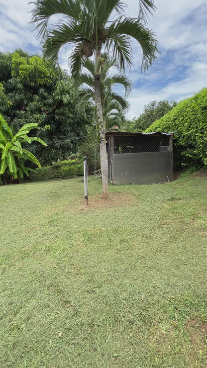 FOTOS